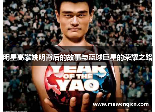 明星高攀姚明背后的故事与篮球巨星的荣耀之路