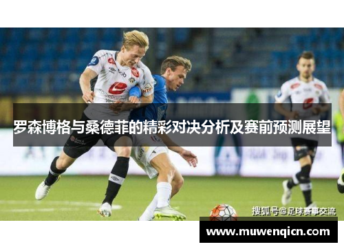 罗森博格与桑德菲的精彩对决分析及赛前预测展望
